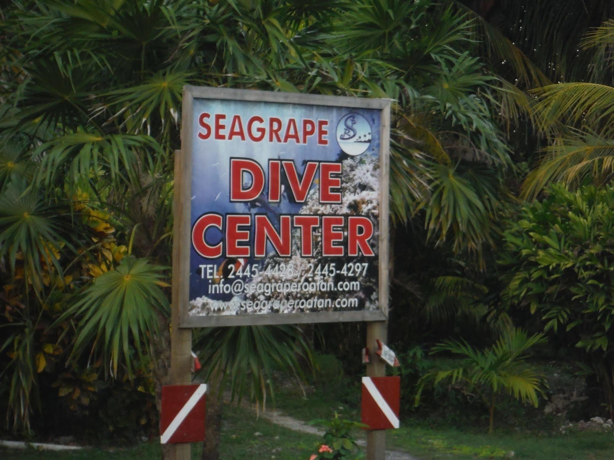 Seagrape Plantation Resort & Dive Center West End Exteriör bild